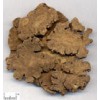 川芎提取物Szechwan Lovage Rhizome P.E