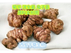 蛤蟆草提取物粉