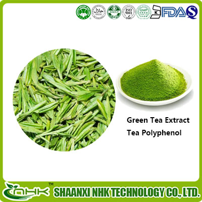 绿茶提取物 98%天然茶多酚