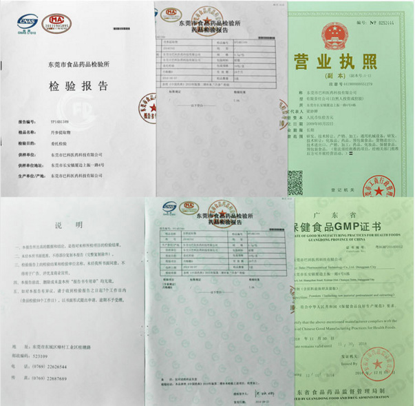 巴科荣誉证书 (2)