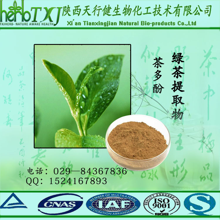 茶多酚终版