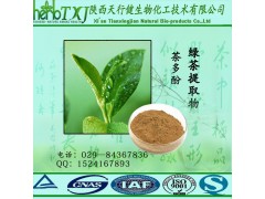 绿茶提取物 茶多酚40% 茶多酚90% EGCG40% HPLC检测 老厂现货直销