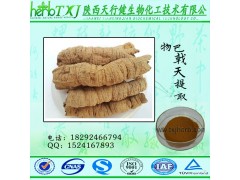 巴戟天提取物5：1 奈斯塘3% 巴戟天多糖 老牌工厂直供 保质保量