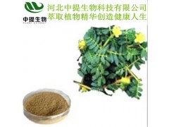 刺蒺藜提取物 刺蒺藜皂甙90%  现货包邮 男性保健原料 壮阳补肾