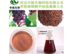 原花青素 葡萄籽提取物 95% 专业植提工厂 现货包邮【中提】