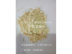 芹菜素98% 芹菜提取物 芹黄素纯天然植物提取物 现货包邮【中提】