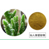供仙人掌提取物 仙人掌提取物10:1 纯天然植物提取物 现货包邮