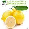 香叶木素 香叶木素98% 厂家现货供应 纯天然植物提取物 包邮