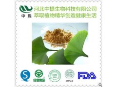 银杏叶提取物 银杏黄酮 银杏叶提取物 现货包邮 纯天然提取 保健