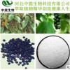 胡椒碱98%95% 黑胡椒 QS生产厂家现货供应 品质保证 包邮