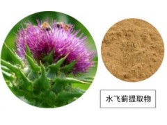水飞蓟提取物 水飞蓟素 UV80% 品质保证 厂家现货直销