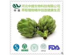 供朝鲜蓟提取物 洋蓟提取物 纯天然植物提取物 现货包邮【中提】