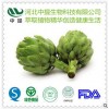 供朝鲜蓟提取物 洋蓟提取物 纯天然植物提取物 现货包邮【中提】