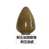 刺五加甙1.2% 刺五加提取物 Siberian Ginseng P.E 厂家现货包邮