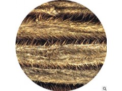 刺五加提取物 刺五加甙0.8% Siberian Ginseng P.E 现货包邮