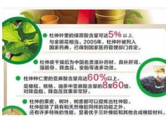 杜仲叶提取物 杜仲10:1 杜仲生粉 现货包邮 厂家直供 纯天然提取