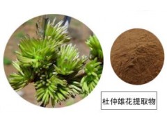 杜仲雄花提取物10:1优质杜仲雄花加工提取实力厂家品质保证