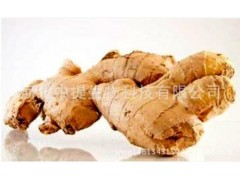姜辣素5% 生姜提取物 新货包邮 纯天然植物提取 生产厂家【中提】