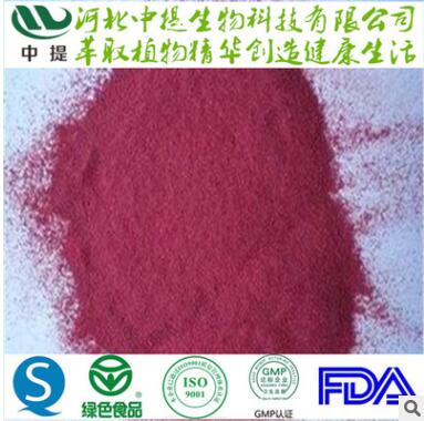 蓝莓果粉 水果粉 蓝莓提取物 全水溶 食品饮料调味品原料【中提】