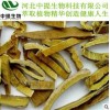 供黄柏提取物 黄柏提取物 规格10:1 黄柏提取物 包邮最新【中提】