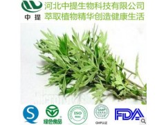 艾叶提取物 10:1 艾草提取物 纯天然植物提取物 现货包邮【中提】