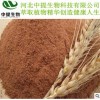 供麦芽提取物 规格10:1 麦芽提取物 专业植提厂 现货包邮【中提】