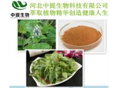 供荆芥提取物 荆芥提取物 规格10:1 纯天然 现货包邮【中提】