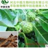供巴戟天提取物 规格10:1 巴戟天提取物 高品质现货包邮【中提】