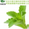 供优质甜叶菊提取物 甜叶菊提取物 规格10:1 新型甜味剂【中提】