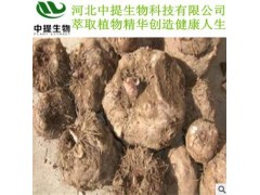 供天然优质魔芋提取物 魔芋提取物 规格10:1 现货包邮【中提】