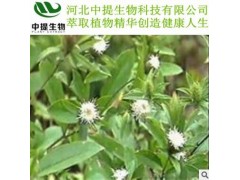 供苍术提取物 苍术提取物 规格含量10：1 现货包邮【中提】