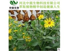 供羌活提取物 规格10:1 羌活提取物 厂家直供 现货包邮【中提】