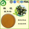 橄榄提取物，橄榄苦甙，羟基络醇，厂家直供纯天然植物提取物，比例提取物，果蔬粉