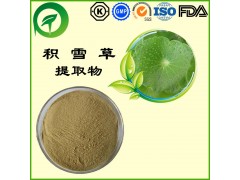 积雪草提取物，积雪草甙，厂家直供纯天然植物提取物，比例提取物，果蔬粉