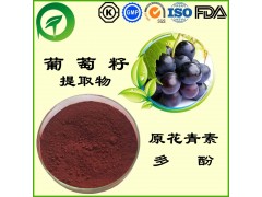 葡萄籽提取物，葡萄籽多酚，原花青素，厂家直供纯天然植物提取物，比例提取物，果蔬粉