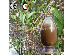 供女贞子提取物 女贞子 规格10:1 纯天然提取 现货包邮【中提】