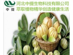 藤黄果提取物 羟基柠檬酸50% 藤黄果QS厂家 藤黄果原粉【中提】