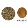 供优质蛇床子提取物 规格10:1 现货包邮 专业植提厂家【中提】