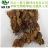 供应优质半枝莲提取物 半枝莲提取物 规格10:1 现货包邮【中提】