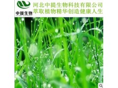 供白花舌草提取物 规格10:1 专业植提厂家 现货包邮 【中提】