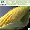 供玉米须提取物 玉米须 规格10:1 现货包邮 保健品原料【中提】