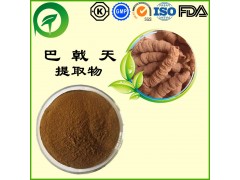 巴戟天提取物，厂家直供纯天然植物提取物，比例提取物，果蔬粉，瓜拉纳，