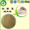 白芸豆提取物，厂家直供纯天然植物提取物，比例提取物，果蔬粉，瓜拉纳，