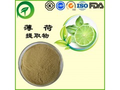 薄荷提取物，厂家直供纯天然植物提取物，比例提取物，果蔬粉