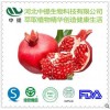 石榴皮提取物 10:1 厂家现货直销 量大从优 纯天然提取 【中提】