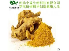 供姜黄提取物 姜黄提取物 专业植提厂家 姜黄 现货直销【中提】