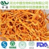 蛹虫草粉 蛹虫草提取物 北冬虫夏草 QS厂家 现货直销【中提】