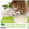 供白芸豆提取物 白芸豆提取物 规格10:1 白芸豆 现货包邮【中提】