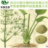 供泽泻提取物 泽泻提取物 规格10:1 厂家现货 直销包邮【中提】