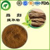 当归提取物，蒿本内酯，厂家直供纯天然植物提取物，比例提取物，果蔬粉